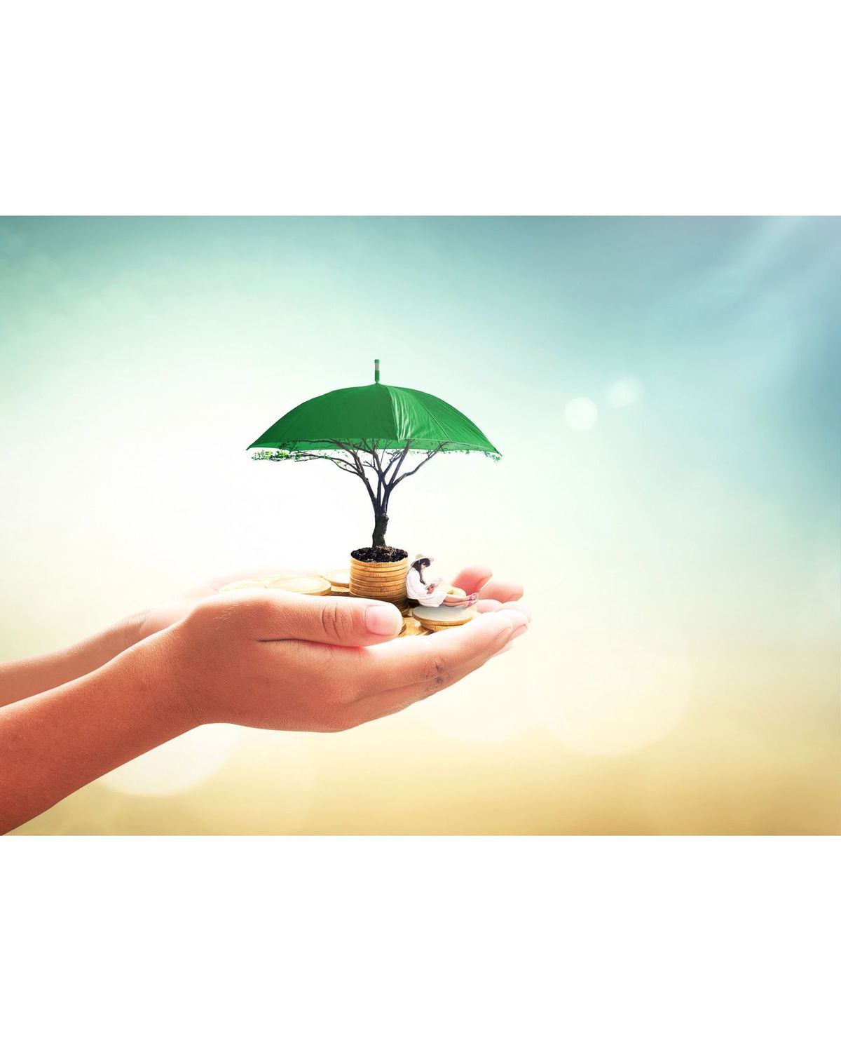 بیمه بازنشستگی 5 ساله شوکا بیمه البرز یکی از بهترین روش‌های سرمایه گذاری